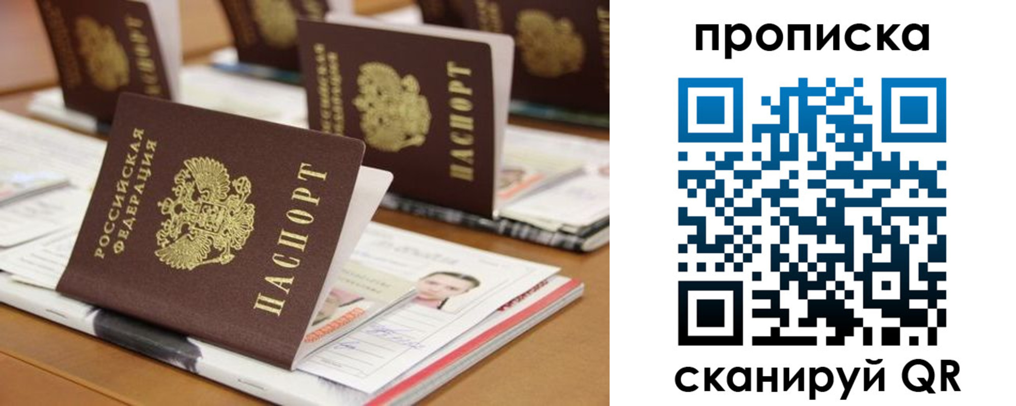 прописка паспорт в Череповце